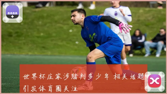 世界杯庄家涉赌判多少年 相关话题引发体育圈关注